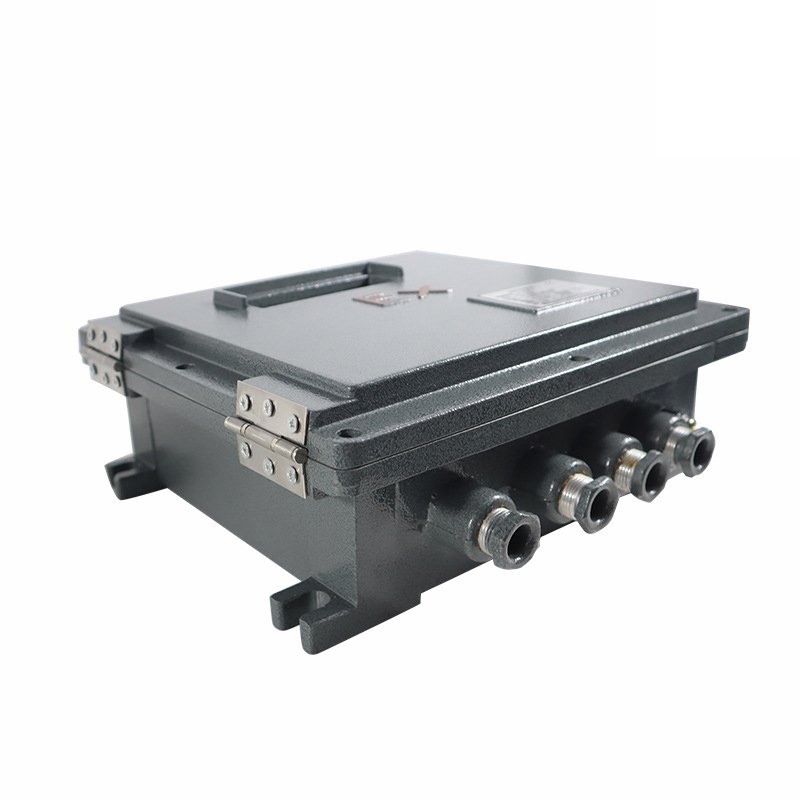 YF-W200D Ex explosion-proof wall-mount ultrasonic flow converter, side view with cable glands